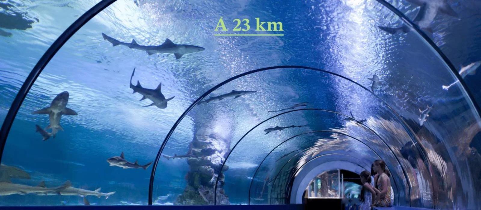Chambre D'Hote A 13 Minutes De Disneyland Champs-Sur-Marne Bagian luar foto
